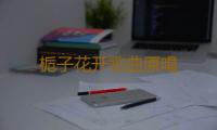 栀子花开歌曲原唱 